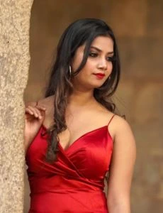 call girl service in Shevgaon